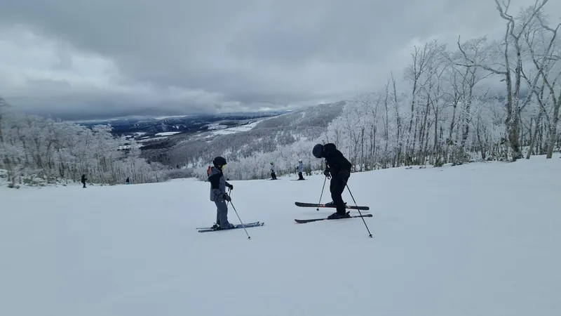 Ski & Snowboard Lessons